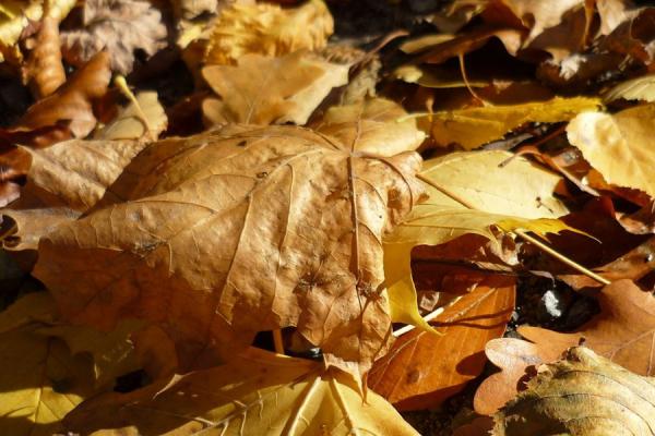 consetetur sadipscing elitr